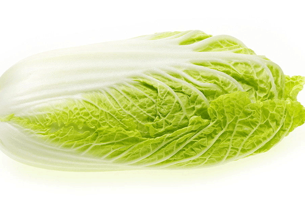 大白菜