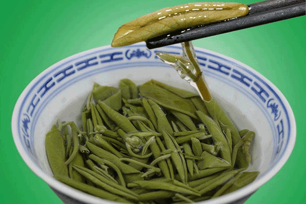 莼菜