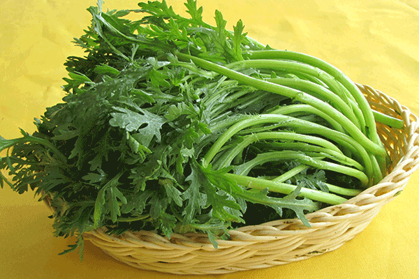 茼蒿选择
