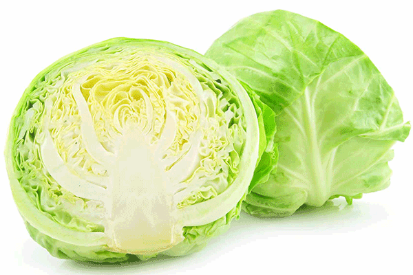 卷心菜