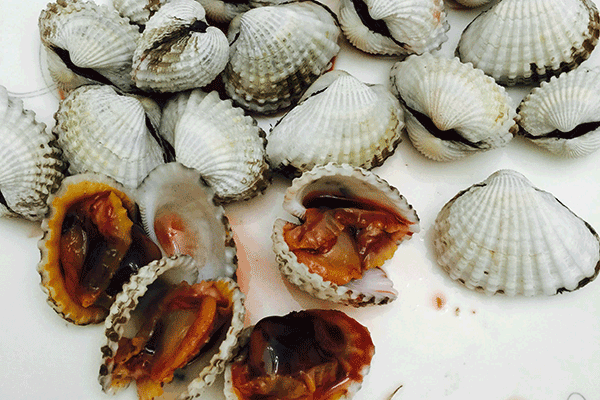 贝类海鲜的挑选与食用